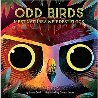 Odd Birds: Meet Nature's Weirdest Flock Board book