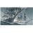 Assassin's Creed IV: Black Flag Hits PS4_4