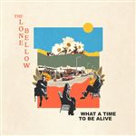 What A Time To Be Alive - CD