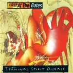 Terminal Spirit Di - Vinilo Amarillo/Rojo