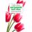 Antiaging natural_0