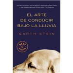 El arte de conducir bajo la lluvia