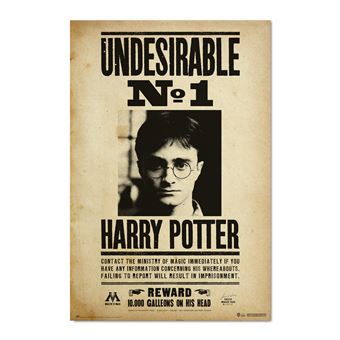 Póster Erik Harry Potter Undesirable N1 - 1