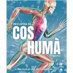 Enciclopèdia Del Cos Humà