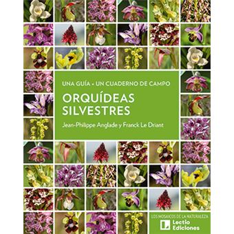 Orquideas Silvestres