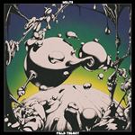 Field Theory - Vinilo Verde