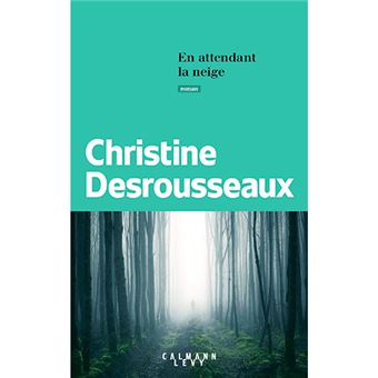 En attendant la neige