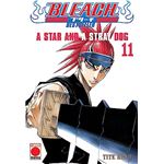 Bleach Bestseller 11 A Star And A Stray Dog