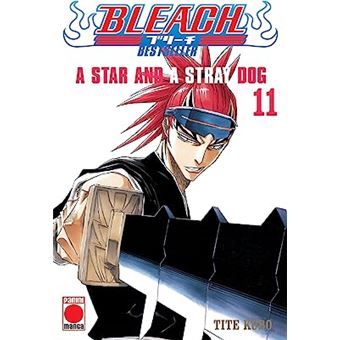 Bleach Bestseller 11 A Star And A Stray Dog