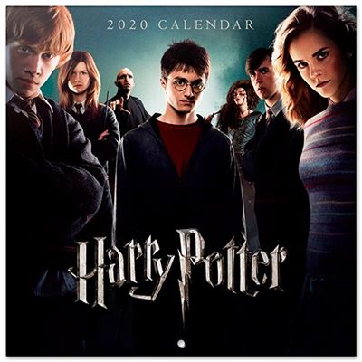 Calendario de pared 2020 Erik 30x30 multilingüe Harry Potter