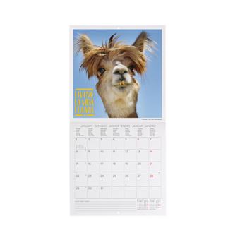 Calendario fotográfico de pared 2024 Legami 18x18 mes visto Take it Easy  multilingüe - Calendario, horario - Los mejores precios