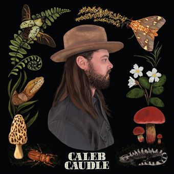 Lp-sweet critters