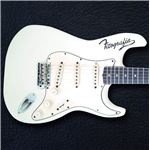 Fitografía - 2 Vinilos