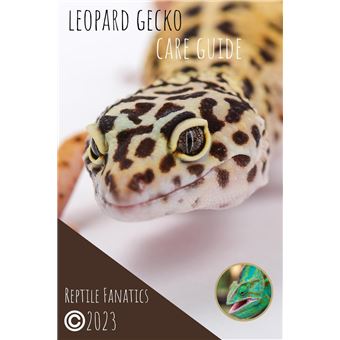Leopard Gecko Care Guide - 1