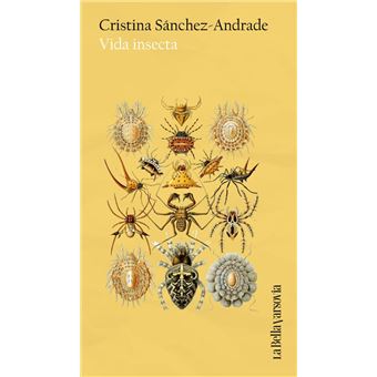 Vida Insecta