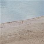 Eight Waves In Search Of An Ocean - Vinilo