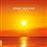 United  - Vinilo Naranja