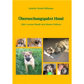 Überraschungspaket Hund - 1