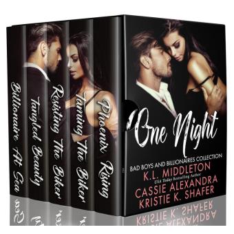 One Night (Billionaires, Bikers, and Bad Boys) Boxed Set - 1