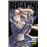 Black Lagoon 12