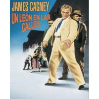 Un león en las calles - DVD