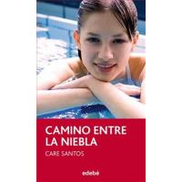 Camino entre la niebla
