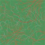 A Garden Of Forking Paths - CD