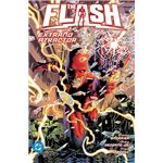 The Flash 1 Extraño Atractor