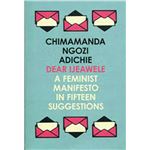 Dear ijeawele or a feminist manifes