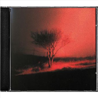 Piss In The Wind - CD - Joji - Disco | Fnac
