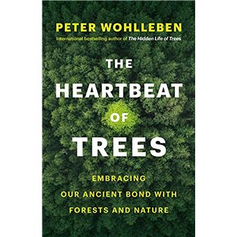 The heartbeat of trees - 1