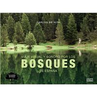 Viaje visual y sonoro por los bosques de España