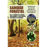 Sanidad forestal