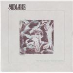 For the Sake of Bethel Woods