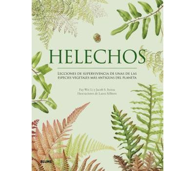 Helechos