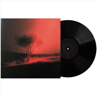 Lp-piss in the wind