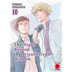 The Night Beyond The Tricornered Window 10