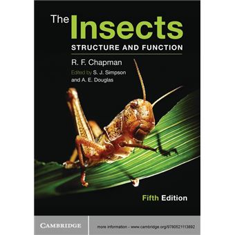 The Insects - 1