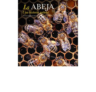Lu Hombre La Abeja. Una Historia Natural