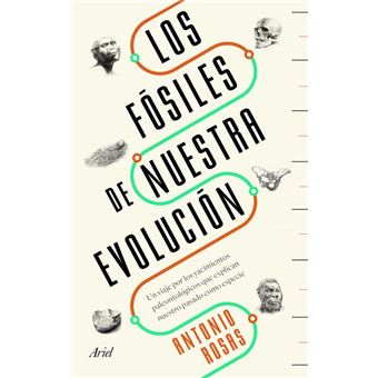 Los fósiles de nuestra evolución