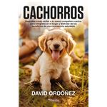Cachorros