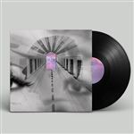 Lp-dream in dream