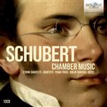 Schubert-Chamber Music - 13 CDs