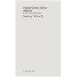 Plantaria Una Palma Datilera