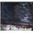 Reader of the Runes. Rapture - CD