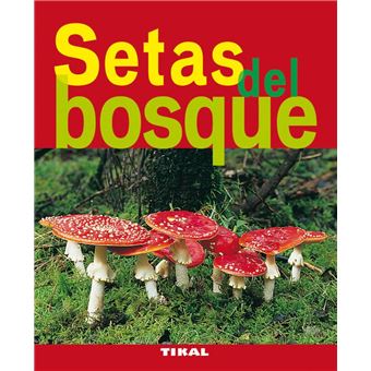 Setas del bosque