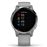 Smartwatch Garmin Vivoactive 4S Gris/Plata