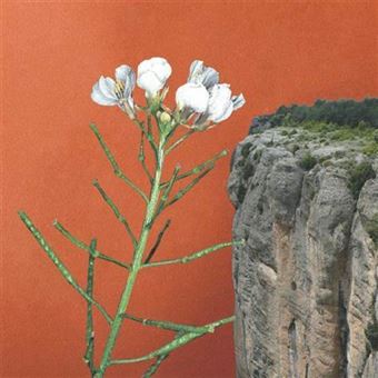 Tots els cingles - Vinilo Single 7"