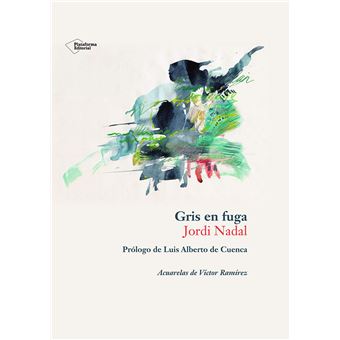 Gris En Fuga