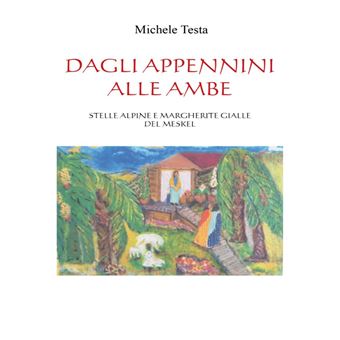Dagli Appennini alle Ambe ( Stelle Alpine e Margherite gialle del Meskel ) - 1